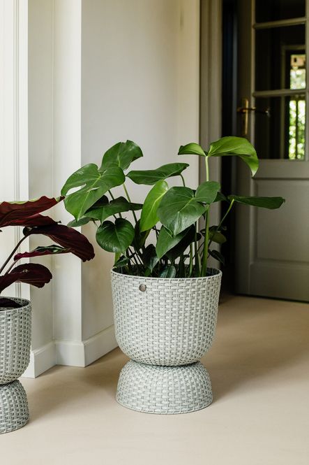 Hovedbilde Handed By Planter diabolo kurv matcha Grønn stor